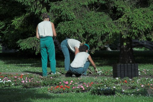 Sustainable landscaping practices in Raynes Park