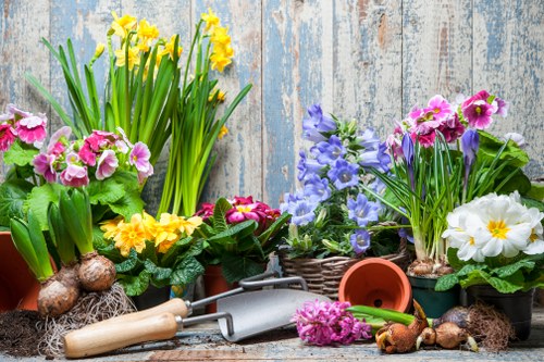 A collection of blooming spring flowers, including yellow daffodils, pink primroses, purple violets, and white primroses with yellow centers, arranged on a rustic wooden surface with a weathered, light blue painted wooden background. The flowers are accompanied by gardening tools such as a small hand trowel and a garden fork, along with pots, soil, and plant bulbs scattered around. The scene presents a vibrant and lush outdoor garden setting, emphasizing the natural diversity of garden plants and the tools used for plant care, with subtle references to gardening and landscaping activities common in outdoor spaces near Raynes Park, London.